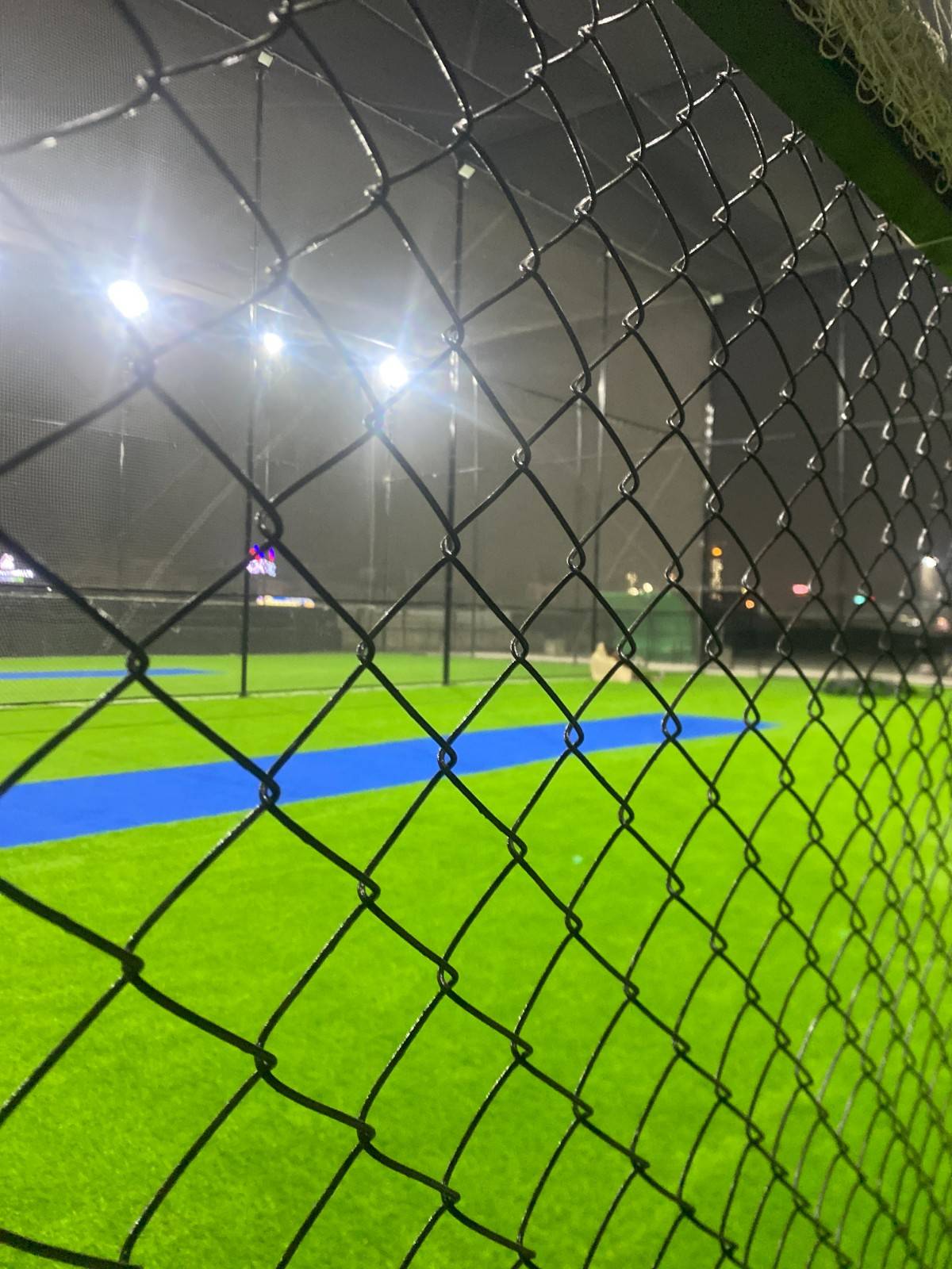 Turf View 2